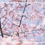 白雪／しらゆき さくら 大宮人妻セレブリティ（ユメオト）