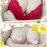 ヒメ日記 2025/03/29 12:01 投稿 つむぎ 即アポマダム～名古屋店～