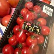 ヒメ日記 2025/03/11 07:21 投稿 あずみ カワサキ EROTIC