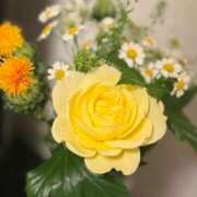 ヒメ日記 2025/04/30 11:18 投稿 あずみ カワサキ EROTIC