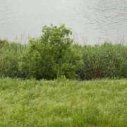 ヒメ日記 2025/05/10 06:43 投稿 あずみ カワサキ EROTIC