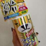 ヒメ日記 2025/05/21 12:16 投稿 あずみ カワサキ EROTIC