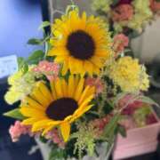 ヒメ日記 2025/06/28 12:15 投稿 あずみ カワサキ EROTIC