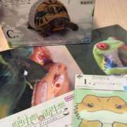 ヒメ日記 2025/07/29 14:36 投稿 あずみ カワサキ EROTIC