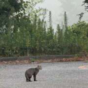 ヒメ日記 2025/08/16 08:52 投稿 あずみ カワサキ EROTIC