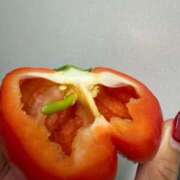 ヒメ日記 2025/11/12 12:16 投稿 あずみ カワサキ EROTIC