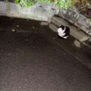 ヒメ日記 2026/04/30 09:02 投稿 あずみ カワサキ EROTIC