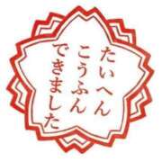 ヒメ日記 2023/12/20 05:18 投稿 りこ『ぽっちゃりコース』 素人学園＠