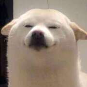 ヒメ日記 2024/12/26 06:03 投稿 りこ『ぽっちゃりコース』 素人学園＠