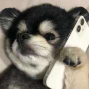 ヒメ日記 2024/12/29 16:18 投稿 りこ『ぽっちゃりコース』 素人学園＠