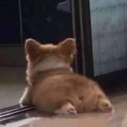 ヒメ日記 2024/12/31 15:03 投稿 りこ『ぽっちゃりコース』 素人学園＠