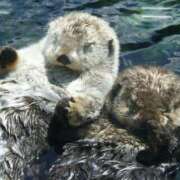 ヒメ日記 2025/01/03 16:57 投稿 りこ『ぽっちゃりコース』 素人学園＠