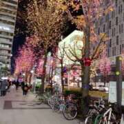 ヒメ日記 2025/02/08 05:18 投稿 りこ『ぽっちゃりコース』 素人学園＠