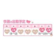 ヒメ日記 2025/02/10 19:33 投稿 りこ『ぽっちゃりコース』 素人学園＠