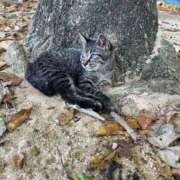 ヒメ日記 2025/03/21 11:03 投稿 りこ『ぽっちゃりコース』 素人学園＠