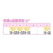 ヒメ日記 2025/04/14 19:03 投稿 りこ『ぽっちゃりコース』 素人学園＠