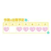 ヒメ日記 2025/04/27 22:48 投稿 りこ『ぽっちゃりコース』 素人学園＠