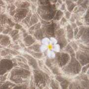 ヒメ日記 2025/06/07 12:57 投稿 りこ『ぽっちゃりコース』 素人学園＠