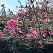 ヒメ日記 2025/06/09 11:03 投稿 りこ『ぽっちゃりコース』 素人学園＠