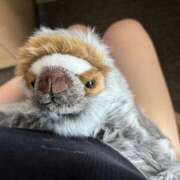 ヒメ日記 2025/06/17 07:33 投稿 りこ『ぽっちゃりコース』 素人学園＠