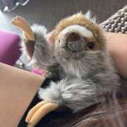 ヒメ日記 2025/06/23 00:42 投稿 りこ『ぽっちゃりコース』 素人学園＠