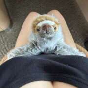 ヒメ日記 2025/09/07 16:57 投稿 りこ『ぽっちゃりコース』 素人学園＠