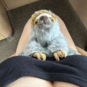 ヒメ日記 2025/09/19 13:24 投稿 りこ『ぽっちゃりコース』 素人学園＠