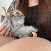 ヒメ日記 2025/09/24 15:54 投稿 りこ『ぽっちゃりコース』 素人学園＠