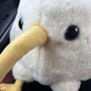 ヒメ日記 2025/10/26 13:18 投稿 りこ『ぽっちゃりコース』 素人学園＠