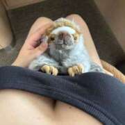 ヒメ日記 2025/12/29 23:33 投稿 りこ『ぽっちゃりコース』 素人学園＠