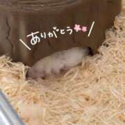 ヒメ日記 2026/03/11 19:48 投稿 りこ『ぽっちゃりコース』 素人学園＠