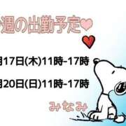 ヒメ日記 2025/04/15 09:16 投稿 美南(みなみ) MERMAID～マーメイド～