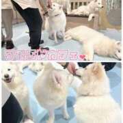 ヒメ日記 2025/08/04 09:01 投稿 美南(みなみ) MERMAID～マーメイド～