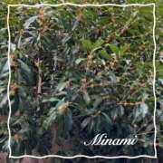 ヒメ日記 2025/10/20 19:27 投稿 美南(みなみ) MERMAID～マーメイド～