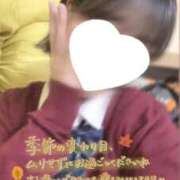 ヒメ日記 2025/11/08 06:30 投稿 めい 電車ごっこ