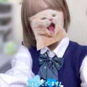 ヒメ日記 2025/11/13 10:30 投稿 めい 電車ごっこ