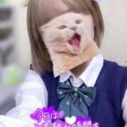 ヒメ日記 2025/11/13 22:20 投稿 めい 電車ごっこ