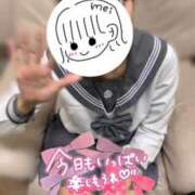 ヒメ日記 2025/11/15 19:00 投稿 めい 電車ごっこ