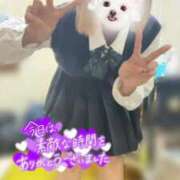 ヒメ日記 2025/11/16 10:27 投稿 めい 電車ごっこ