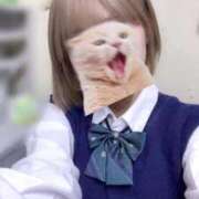 ヒメ日記 2025/11/19 11:22 投稿 めい 電車ごっこ