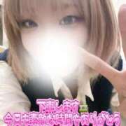 ヒメ日記 2025/12/14 12:36 投稿 めい 電車ごっこ