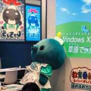 ありす ごめんなさい チューリップ姫路店