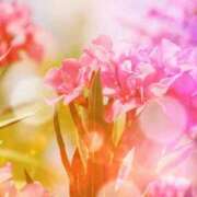 ヒメ日記 2025/08/22 21:16 投稿 みき 町田人妻城