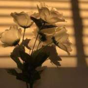 ヒメ日記 2025/08/30 15:04 投稿 みき 町田人妻城