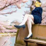 ヒメ日記 2026/04/09 09:30 投稿 みずき タレント倶楽部シャングリラ