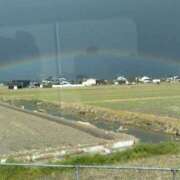 ヒメ日記 2025/04/19 17:38 投稿 深沢 西川口デッドボール