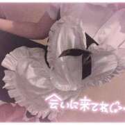 ヒメ日記 2024/12/29 00:31 投稿 るきあ Gossip girl成田店