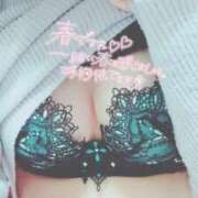 ヒメ日記 2025/04/12 10:42 投稿 いく One More奥様　八王子店