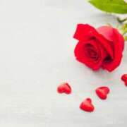 ヒメ日記 2025/02/08 12:36 投稿 かれん ピュアグレイス