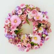 ヒメ日記 2025/03/01 23:16 投稿 かれん ピュアグレイス